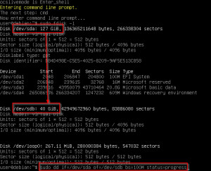 Preview use dd to clone the hard disk block by block or create an image